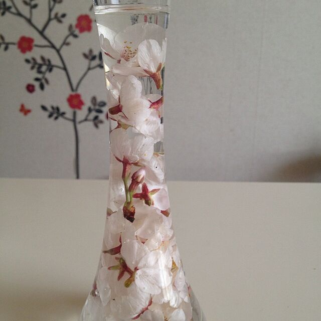 ガラスの花瓶に沈めた桜の花の水中花。手軽にできて、シンプルキレイなディスプレイ。